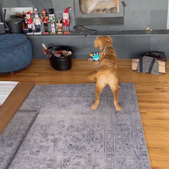 Krab Franek™ - Interaktywna zabawka dla psa